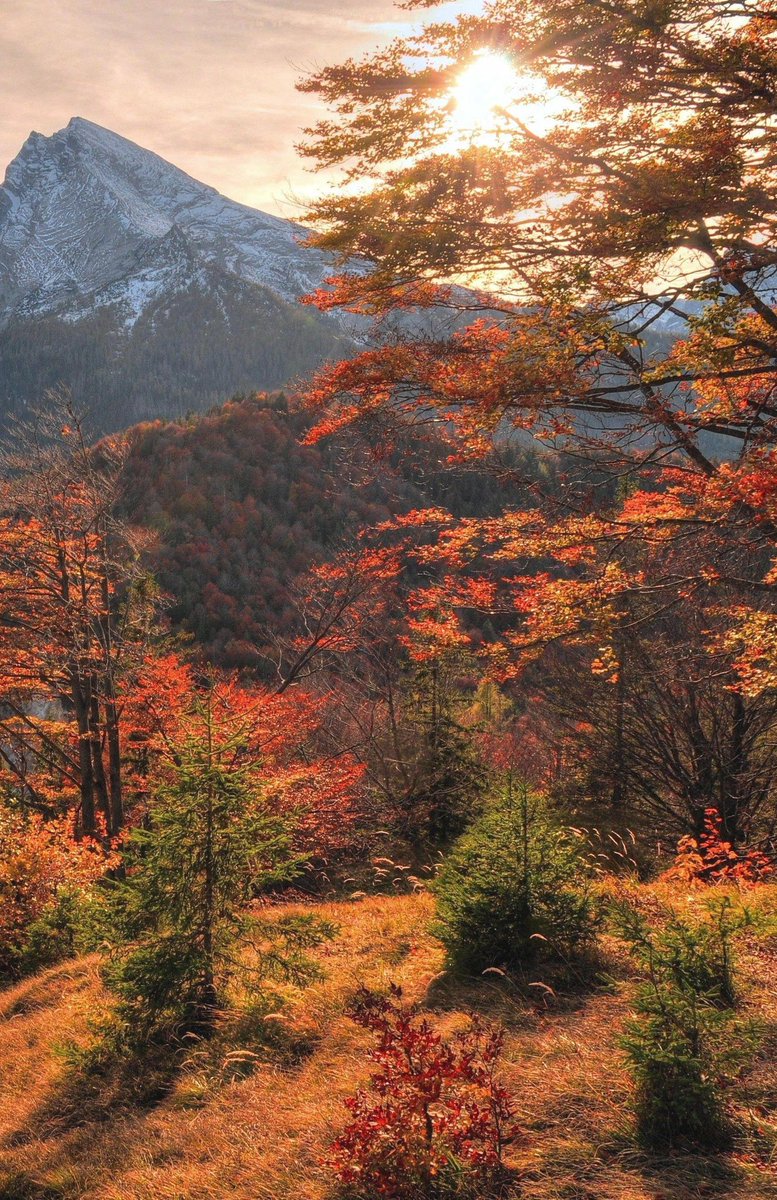 LoveSongs4Peace's tweet photo. " Beautiful autumn sunrise over the mountains "  🌄 https://t.co/JWfyyxODCQ