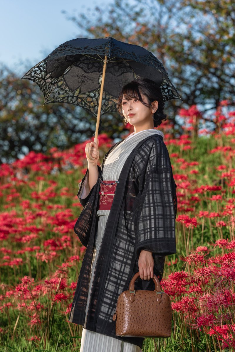 Glico_happy's tweet photo. 彼岸花と着物、満開で綺麗だった〜✨

撮影:@BSK_photo https://t.co/Q37Gqm6Uxl