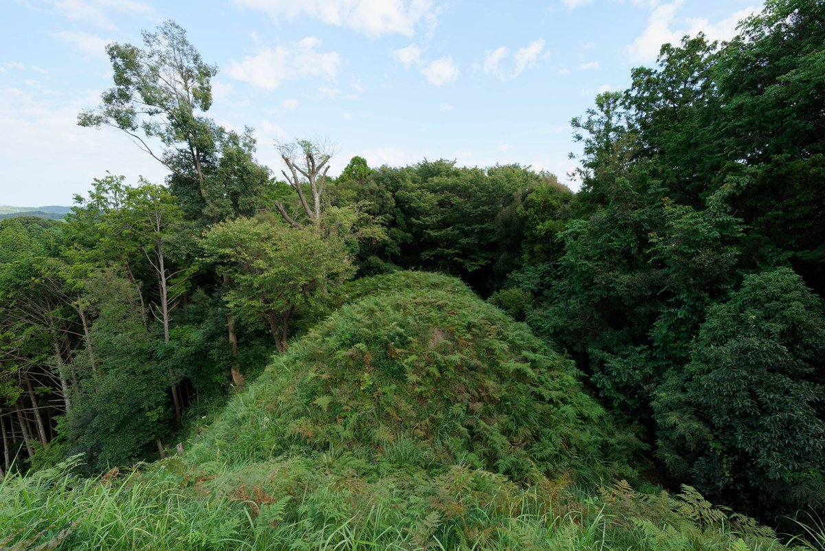 karinpinkiss2's tweet photo. 牧之原市　勝間田城　東曲輪先の５連堀切。足元が見えず、ここ数日降っていた雨で地盤も柔らかいため先に進めませんでした。 https://t.co/0320phUMrZ