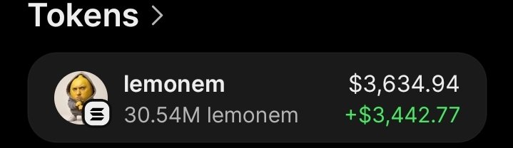 21Huncho_sol's tweet photo. $lemonem is printing nicely on my Alpha TG
Big congrats to Team Alpha 
 #Solana #memecoin #CryptoTrading https://t.co/Y9BX1kvTep