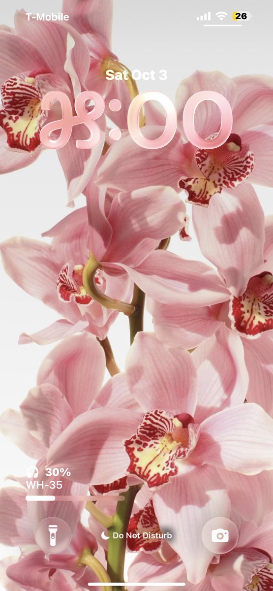 Seucorav's tweet photo. profile/ lockscreen/last thing i played/ pinterest https://t.co/ihKtGDcL9Y