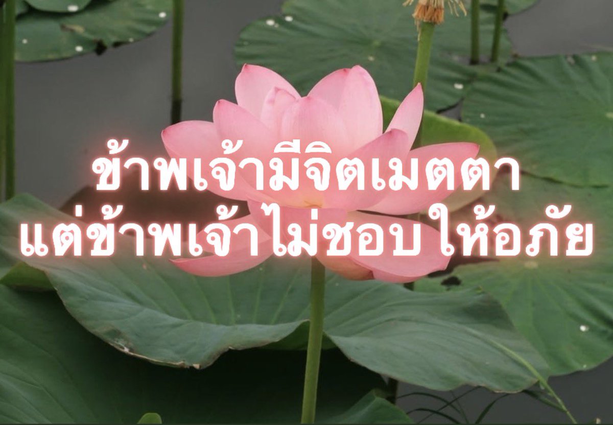 Iaunza's tweet photo. ไม่ค่อยจะแค้นสักเท่าไหร่ https://t.co/iv9piHSwav