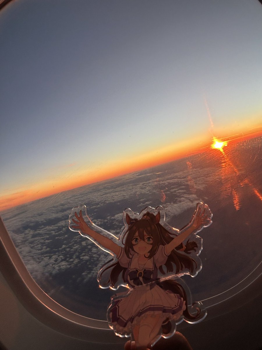 Th3_Budha's tweet photo. Budha here.
After the nightmare of yesterday to this morning, I was able to fly to Paris for the Grand Prix L’Arc de Triomphe!
It’s nice to finally relax, I will meet my friends tomorrow.
Good Night. https://t.co/vGSdICuEUP