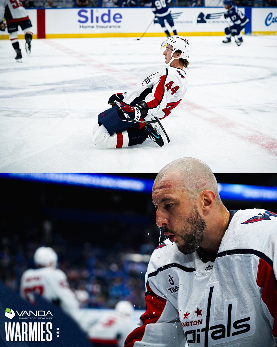 Capitals's tweet photo. Snowbirds

#ALLCAPS | @vandapharma https://t.co/T7kEP5w8kM