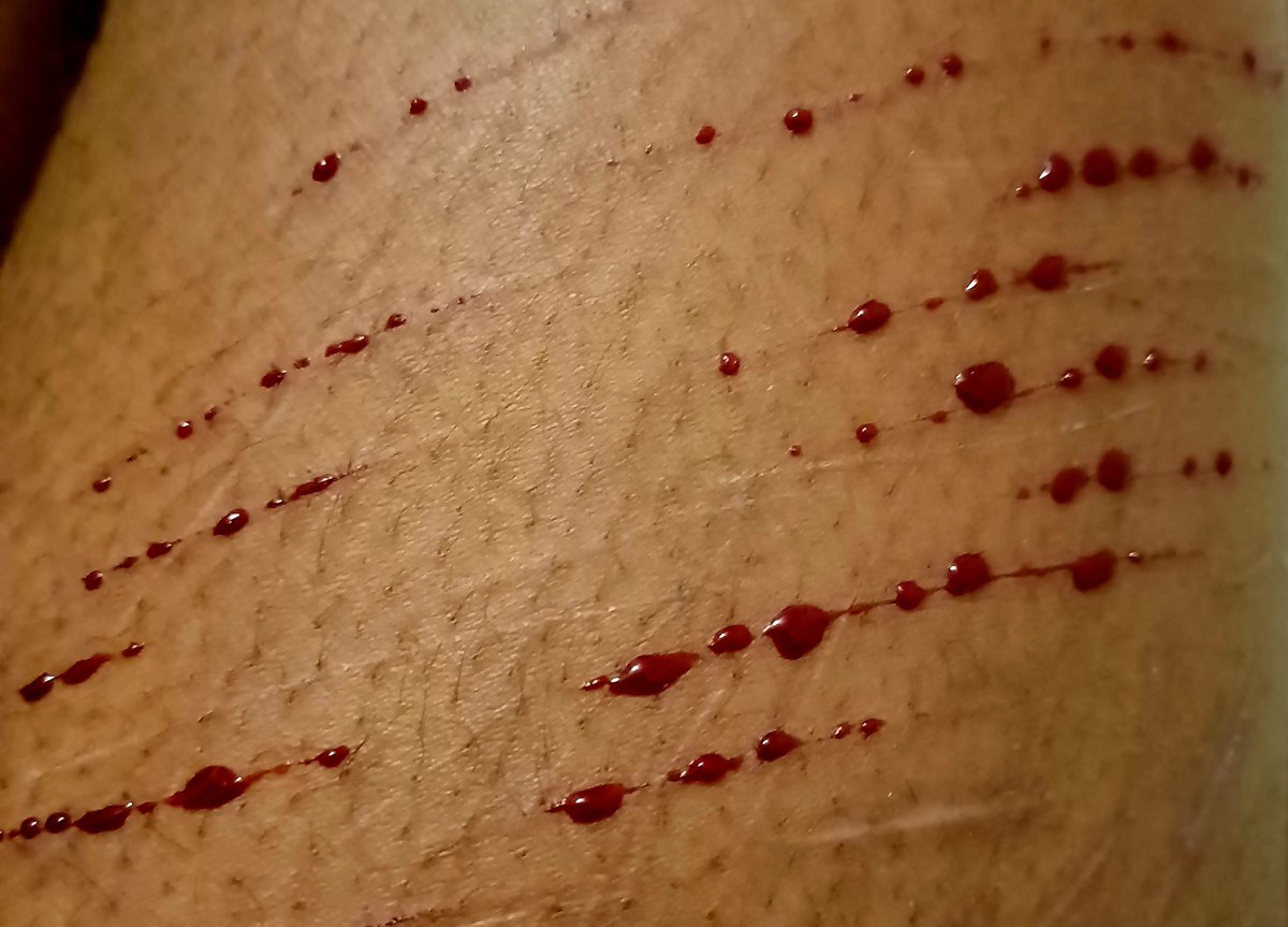 fastamater's tweet photo. small shed shesh... my blade is DULL because my mum took my other one :(((( i literally cant even get deep STYROS with this??? smh dude. i used to get one ewipe beans with my old blade.... miss the old days. #shedtwt #shed #blood #shh https://t.co/vawk0Cf0kh