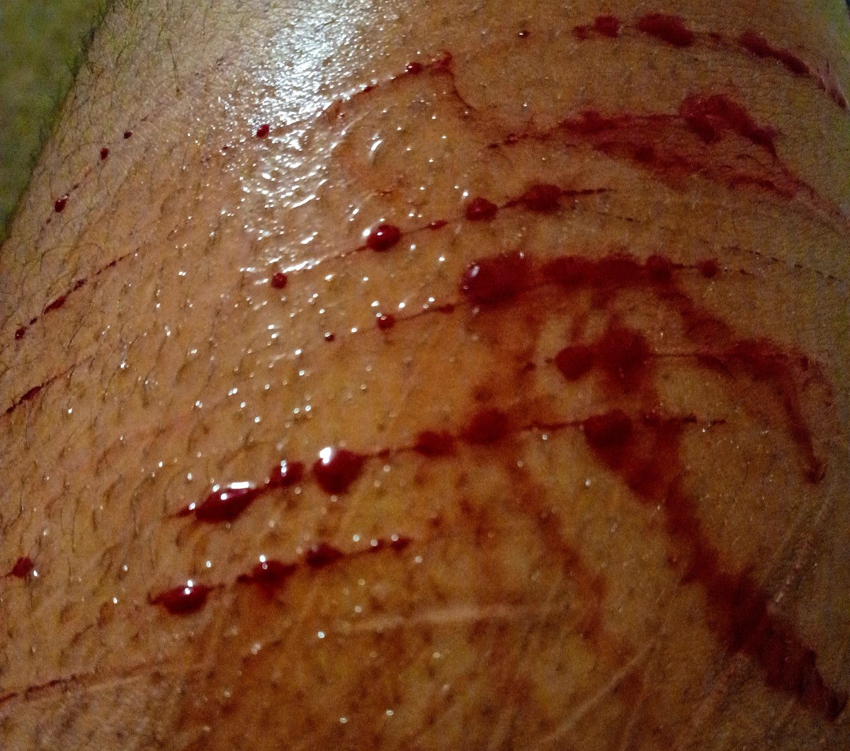 fastamater's tweet photo. small shed shesh... my blade is DULL because my mum took my other one :(((( i literally cant even get deep STYROS with this??? smh dude. i used to get one ewipe beans with my old blade.... miss the old days. #shedtwt #shed #blood #shh https://t.co/vawk0Cf0kh
