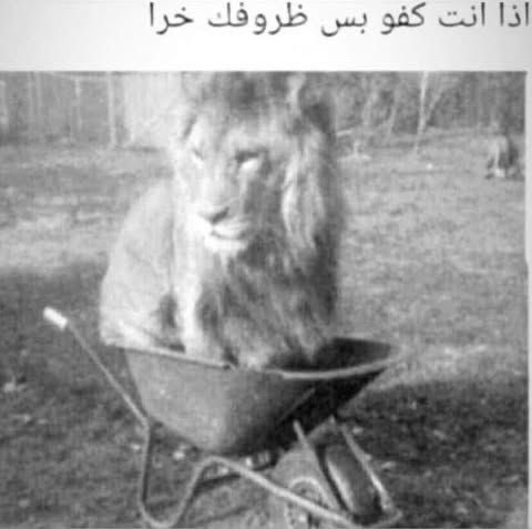 Joj1568's tweet photo. ثالث ثانوي ولا قفلت قدرات واختبارات وفوقها كلشوي اشارك بتاق
#٢٠٣٠_بلا_نقاب٣ 
#٢٠٣٠_بلا_نقاب3 
#٢٠٣٠_بلا_نقاب4
#وجهك_هويتك_مو_عورة https://t.co/ZtMn0lmDsH