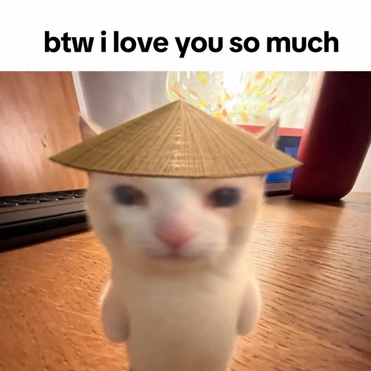 chinesecathat's tweet photo. ❤️ https://t.co/cemrInA0Hc