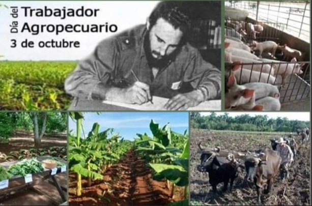 ho639353's tweet photo. Hoy 3 de Octubre es el día del Trabajador Agropecuario, a todos muchas felicidades.
#LatirAvileño .
@InderCiegodeAvila. https://t.co/GzvwBR0utm