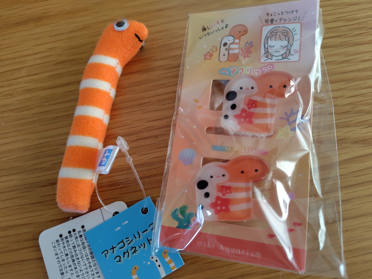 ru201rs's tweet photo. 昨日のお土産？としてチンアナゴのマグネットとチンアナゴのヘアクリップを買ったんだけど
あまりにも軽率な選出だったと今更不安になってきた https://t.co/Yl0vkpEzzv