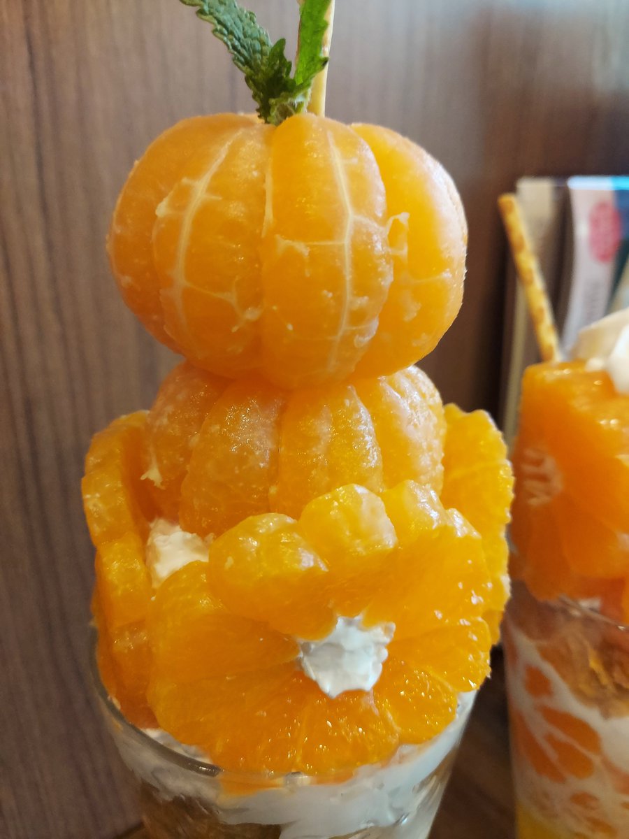 osudanuki's tweet photo. @ts_uichan おはごろも～☺️

フォルダのオレンジ探してみた🍊どっちも美味しかった😃 https://t.co/seo0AZUKoO