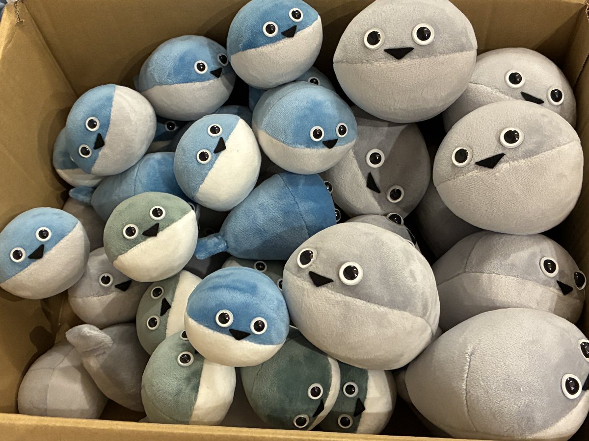 mametacos's tweet photo. きみは！！！
インディゴ（仮称）！！！
まっちゃ（仮称）！！！

あらたな！！！であい！！！！！！ぴーー！！！！！

#まめぴす https://t.co/q9j4c0TLCb