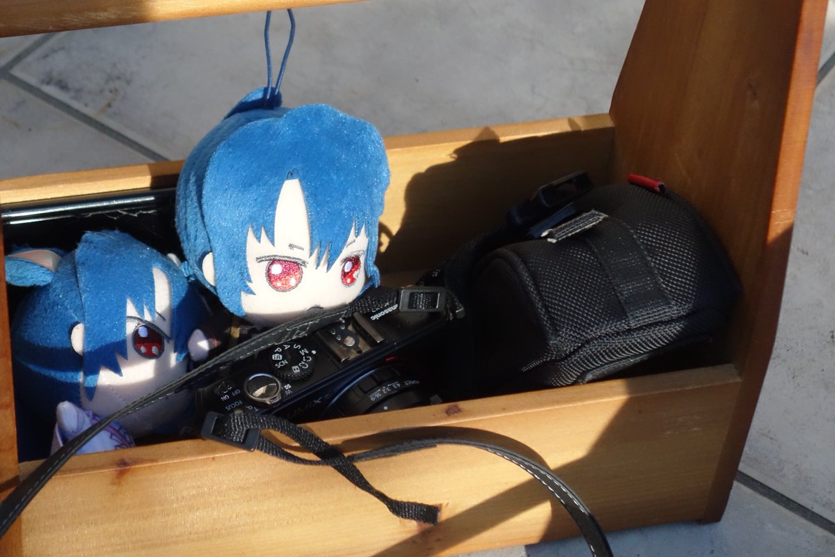 Hakusaimusya's tweet photo. まぶしいね https://t.co/FnIqapyvRs