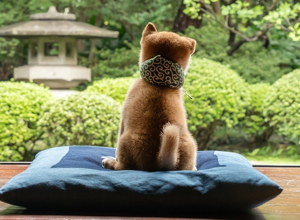 ItsMamesuke tweet picture