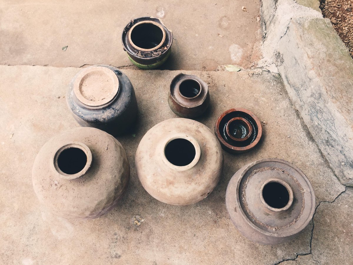 AmartaCintia's tweet photo. [I found a jar of aged vinegar in the fertile soil, its rich aroma filling the air gently.]， https://t.co/nPlp5hxr1F