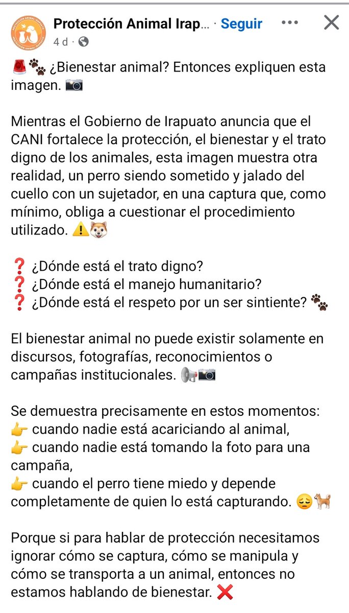 LicAnimalista's tweet photo. #VerguenzaNacional @irapuatogob siguen aplicando políticas públicas del siglo pasado, captura y asesina, entiendan no pueden matar animales solo por ser víctimas de abandono. Atención @LorenaAlfaroG CCP. @LibiaDennise https://t.co/C9Faz2aSor