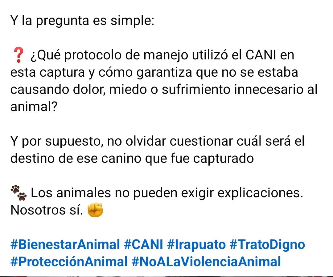 LicAnimalista's tweet photo. #VerguenzaNacional @irapuatogob siguen aplicando políticas públicas del siglo pasado, captura y asesina, entiendan no pueden matar animales solo por ser víctimas de abandono. Atención @LorenaAlfaroG CCP. @LibiaDennise https://t.co/C9Faz2aSor