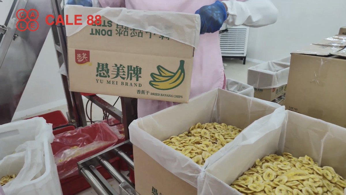 jesusfalcis's tweet photo. 🚨 OMG nakalkal ang original website ng Cale88 Foods Corp and may picture ng mga employees na naka “Sara All 2022” campaign shirts!

Tapos ang mga banana chips repacked as “Yu Mei Brand” na binebenta sa China in boxes!!

And ang kasosyo ni Mans Carpio? Dentista sa Davao.

😂 https://t.co/jaRbYLlU9h