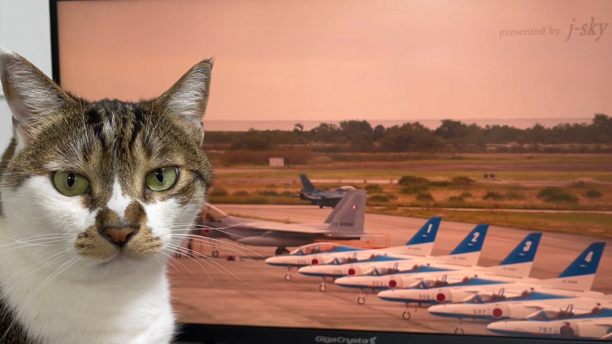 nekonomasa_DIY's tweet photo. 今日は松島基地航空祭を見てる🐱✈️ https://t.co/jBfFkiS1CL