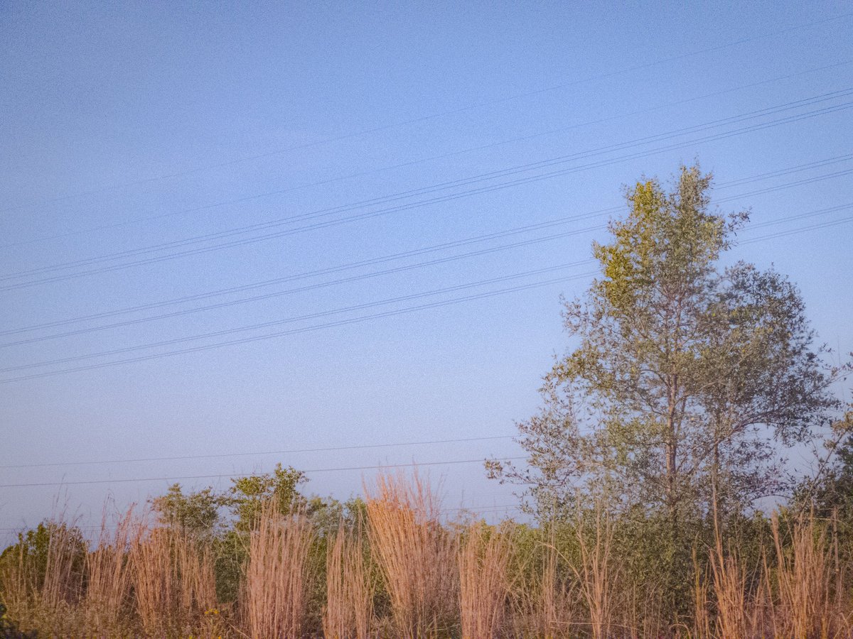 pinepictures's tweet photo. far flat land https://t.co/ukcs7lCI8q