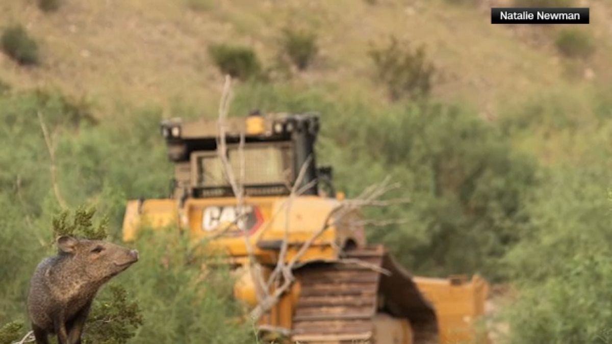 ABC7NY's tweet photo. Judge temporarily blocks border wall construction in Texas’ Big Bend region https://t.co/x3bq1tQOZs https://t.co/bv618Jjvoj