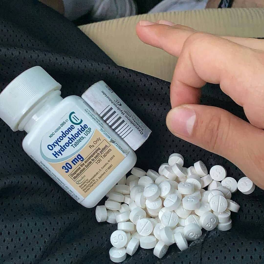 theplugpack tweet picture