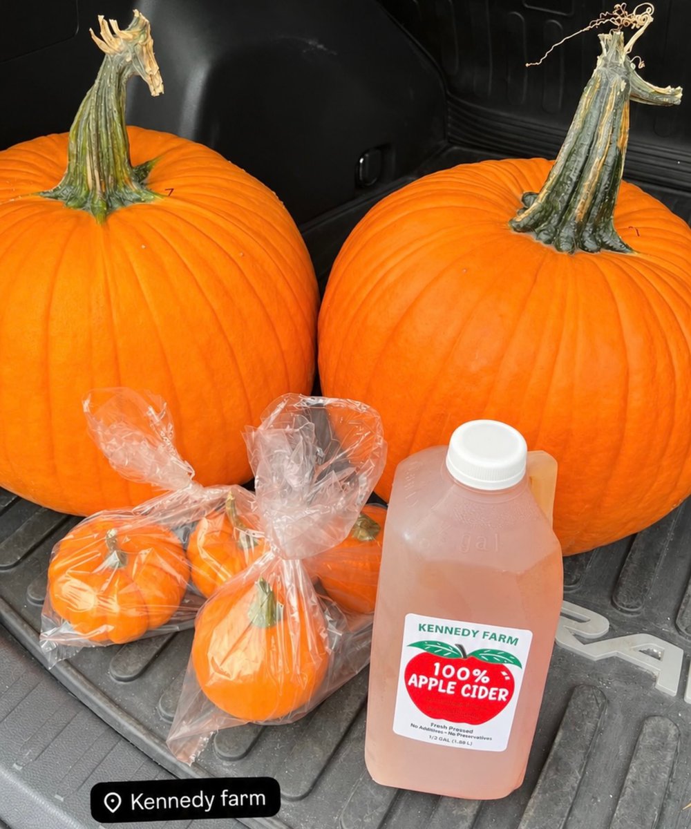 LeonSKennedyv's tweet photo. ⠀⠀⠀
⠀⠀⠀⠀⠀⠀⠀⠀
     Ya pueden pasar por sus productos
          frescos para estas festividades
                 a la Granja Kennedy. 🎃🍎

⠀⠀⠀⠀⠀⠀⠀⠀ https://t.co/mGHsWpDES4
