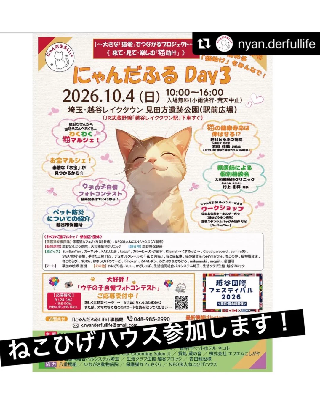 動物保護施設🏠ねこひげハウス😺次回譲渡会10月18日(日)@島忠ホームズ