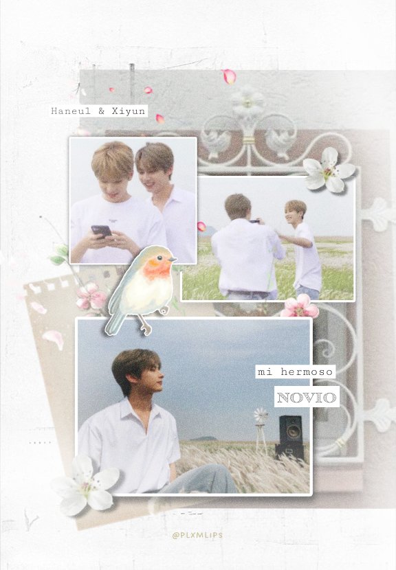 plxmlips's tweet photo. Te encuentro en todo  / 💬🍃 藍鳥 https://t.co/VIFAkmhVQ6