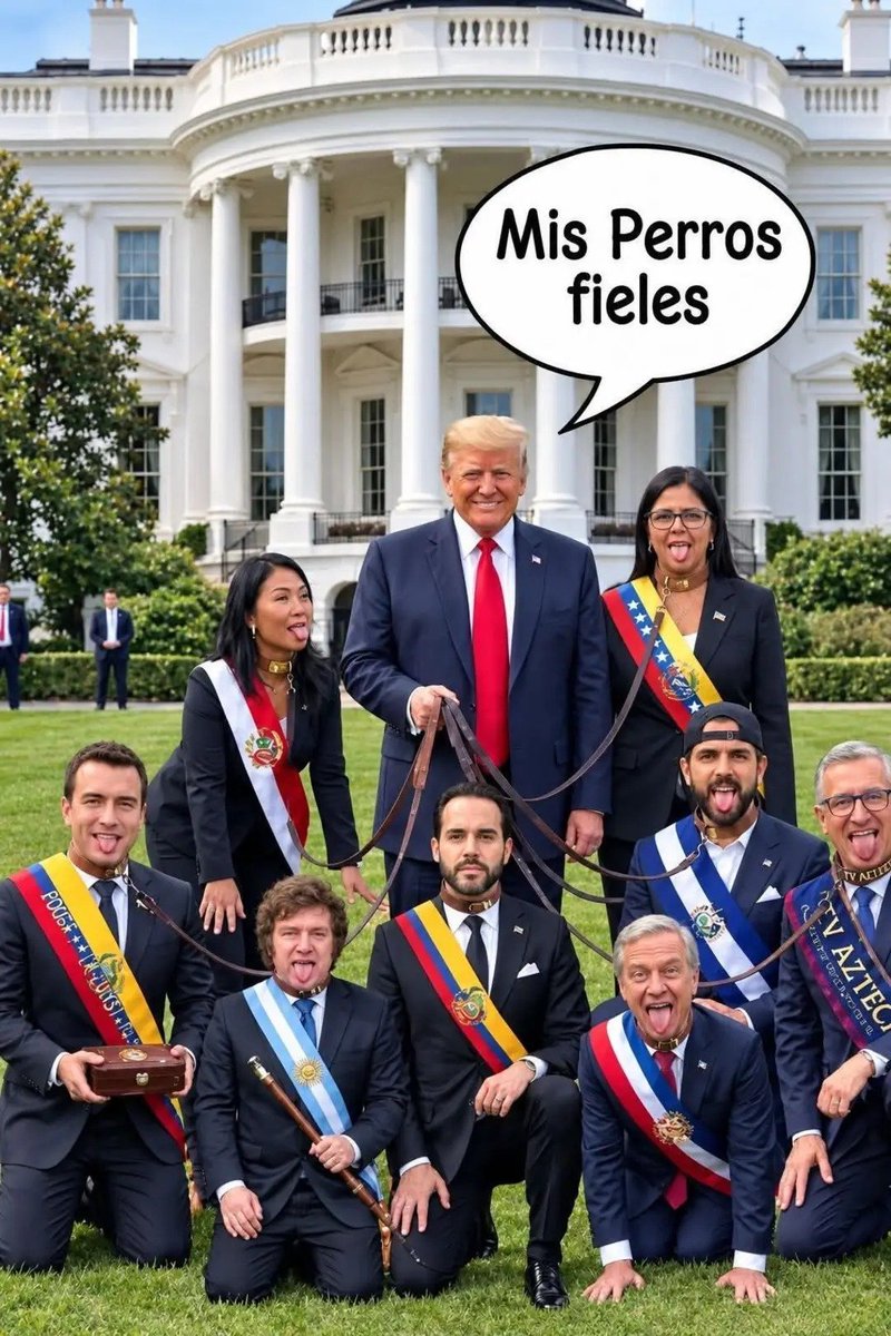 jOsh_xerial's tweet photo. @KeikoFujimori @POTUS EL ESCUDO DE LOS IMBECILES DE TRUMP, BRAVO VAGA ES EL LOGRO MEDIOCRE Q SOLO PUEDES HACER https://t.co/bKvTx4m6M1