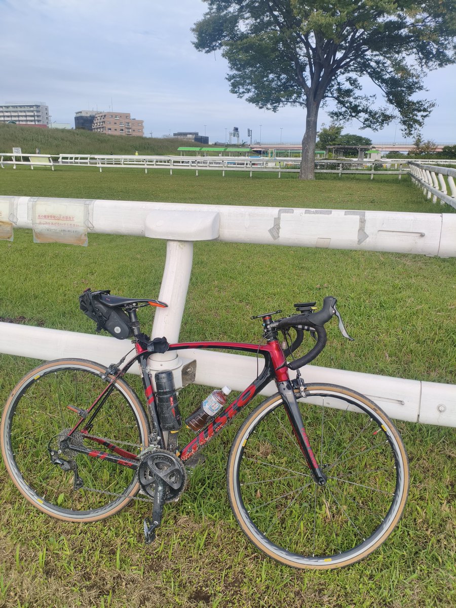 000newtype26538's tweet photo. #江戸川  #サイクリング
今日は野球キッズ達が横列Gメン状態
ランニング、散歩、サイクリング他にも利用する人がいるのになぁ https://t.co/wEepH9lbCO