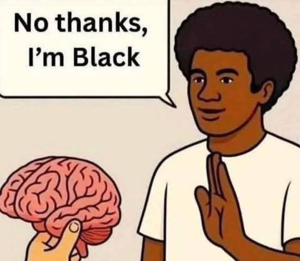 Truthpil's tweet photo. @judeinlondon Yeah chimp out bc he’s using his brain https://t.co/idzkNSYNs4