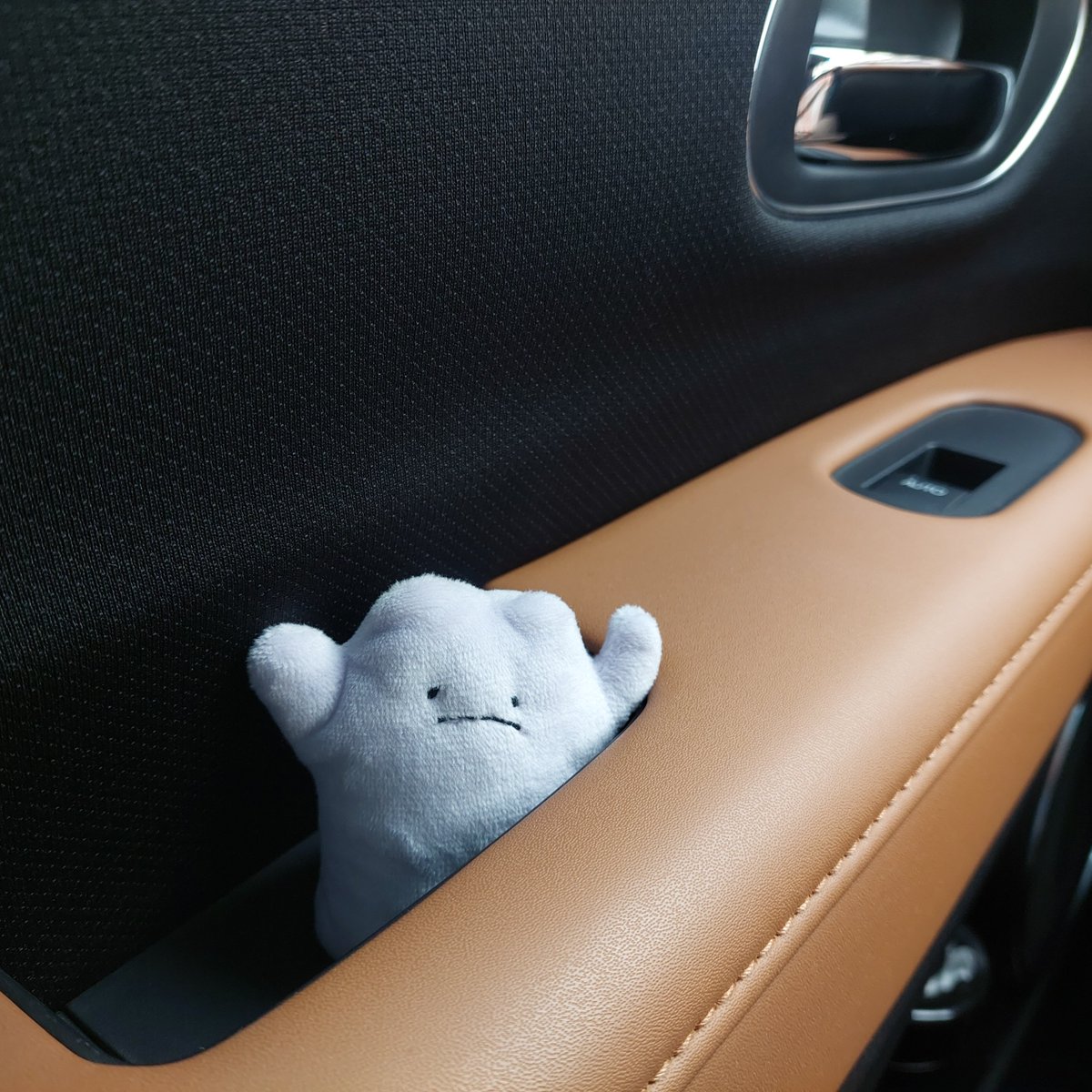 omuomusubimaru's tweet photo. しおしおメタモン https://t.co/aV3iSwRbWu