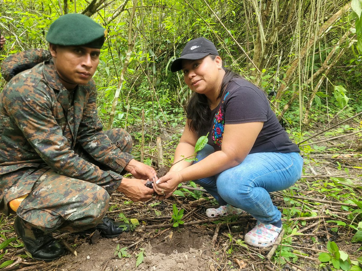 RelCiv's tweet photo. En conjunto con personal de la Aldea el Porvenir, Flores, Petén, se desarrolló campaña de reforestación, coadyuvando a la Protección, Conservación y Mejoramiento del Medio Ambiente.

GUERREROS MILENARIOS

“Con dignidad, respeto y transparencia, defendemos a la Nación” https://t.co/vGUZdIfRNq
