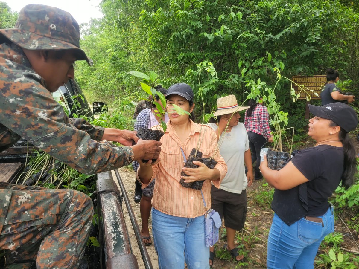 RelCiv's tweet photo. En conjunto con personal de la Aldea el Porvenir, Flores, Petén, se desarrolló campaña de reforestación, coadyuvando a la Protección, Conservación y Mejoramiento del Medio Ambiente.

GUERREROS MILENARIOS

“Con dignidad, respeto y transparencia, defendemos a la Nación” https://t.co/vGUZdIfRNq