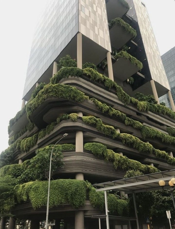 psyhies's tweet photo. La torre ahora que spreen la está llenando con ojas https://t.co/NG4QrNYZ3w