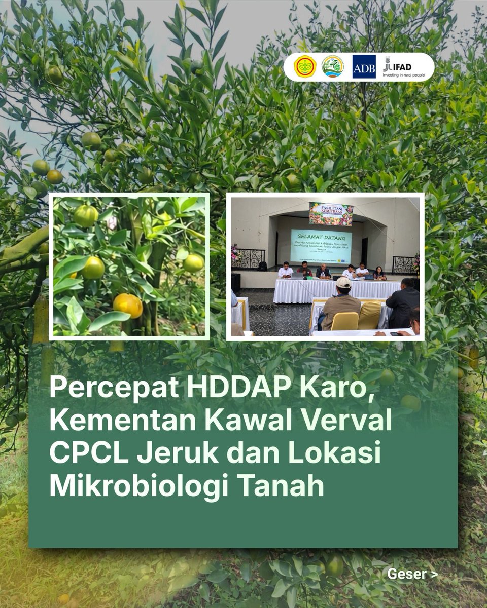 HddapHorti's tweet photo. Melalui peninjauan lapangan di Kecamatan Munte dan Tigapanah, tim berhasil memvalidasi kesiapan 50,11 hektar kluster jeruk serta menyepakati penetapan lokasi empat Unit Produksi Mikrobiologi Tanah dan tiga Bangunan Klinik PHT untuk komoditas kentang.

#Hortikultura #HDDAP #Ifad https://t.co/Tu4uipEePi