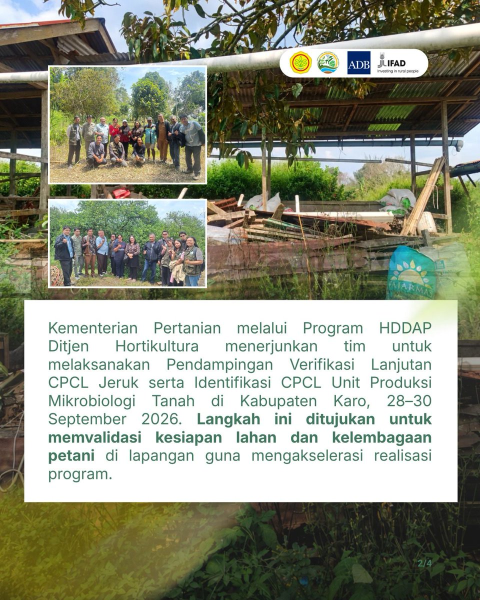 HddapHorti's tweet photo. Melalui peninjauan lapangan di Kecamatan Munte dan Tigapanah, tim berhasil memvalidasi kesiapan 50,11 hektar kluster jeruk serta menyepakati penetapan lokasi empat Unit Produksi Mikrobiologi Tanah dan tiga Bangunan Klinik PHT untuk komoditas kentang.

#Hortikultura #HDDAP #Ifad https://t.co/Tu4uipEePi