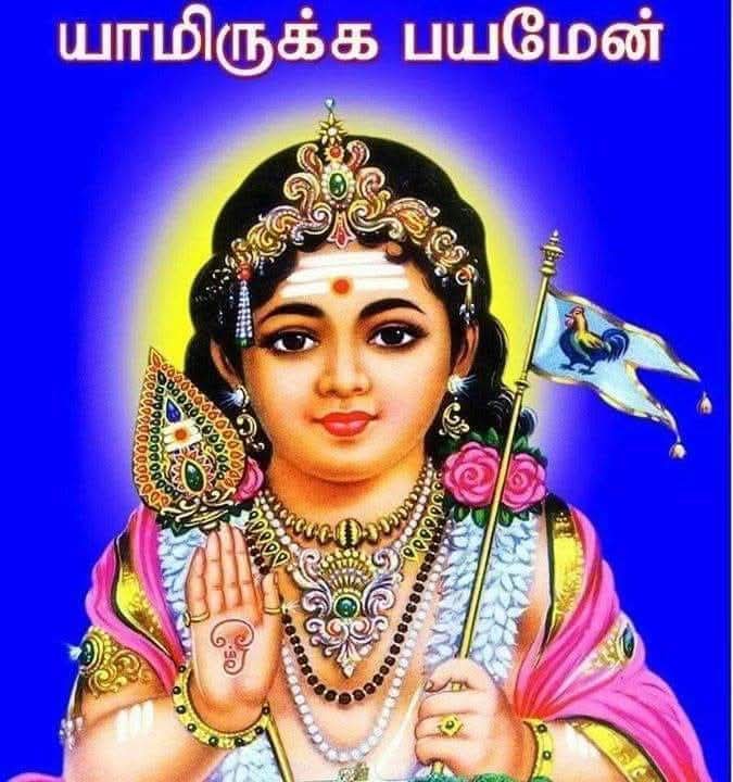 Brasilwale's tweet photo. இனிய காலை வணக்கம் 🙏 https://t.co/4vTT4icOb5
