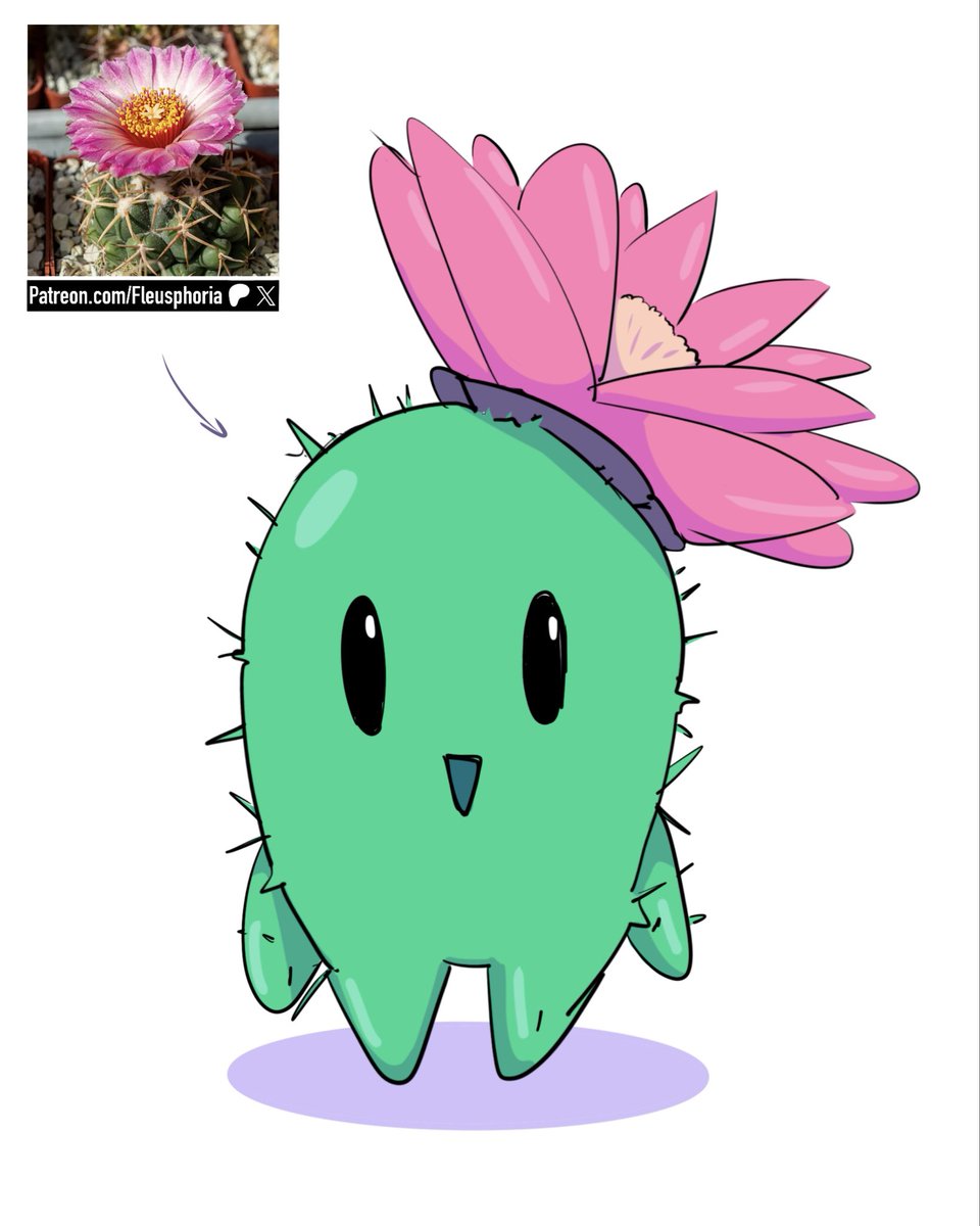 fleusart's tweet photo. This little Fleusgirl cactus is still very small, but it is already developing its flower 🌵✨

#mosntergirl #fleusgirl https://t.co/ORXrqKkVK9