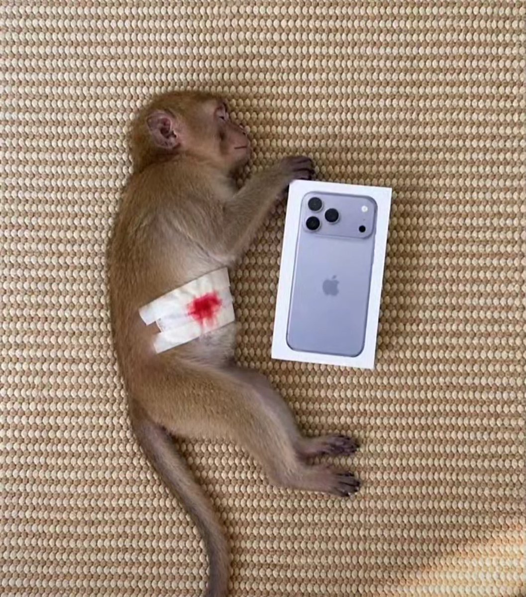 hot556687's tweet photo. iPhone 18 grabbed 

What's keeping you from re-creating? https://t.co/iw3GjwsQuo