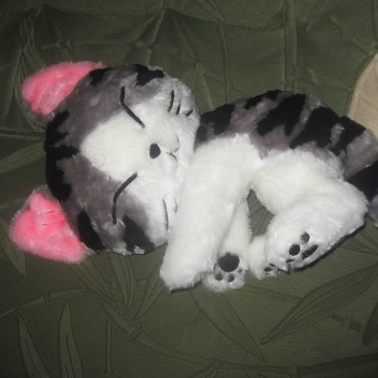 meuamorporgatos's tweet photo. como me ve pinterest ? 

ʚɞ character ; 
ʚɞ plushie ; 
ʚɞ nails ;
ʚɞ quote ; https://t.co/d47qEGmxke