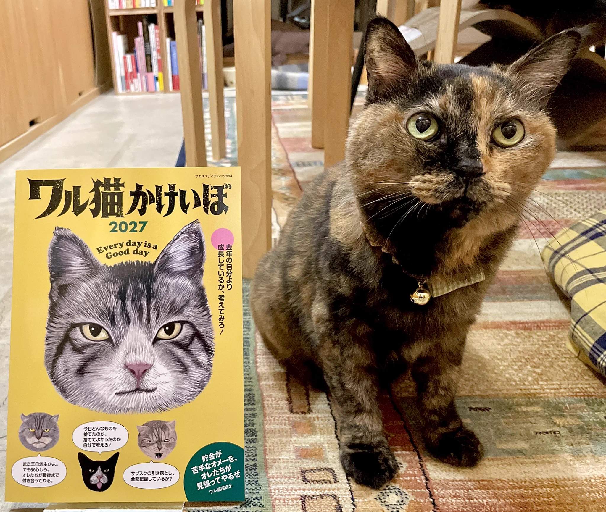 キャッツミャウブックス® (@CatsMeowBooks) / X