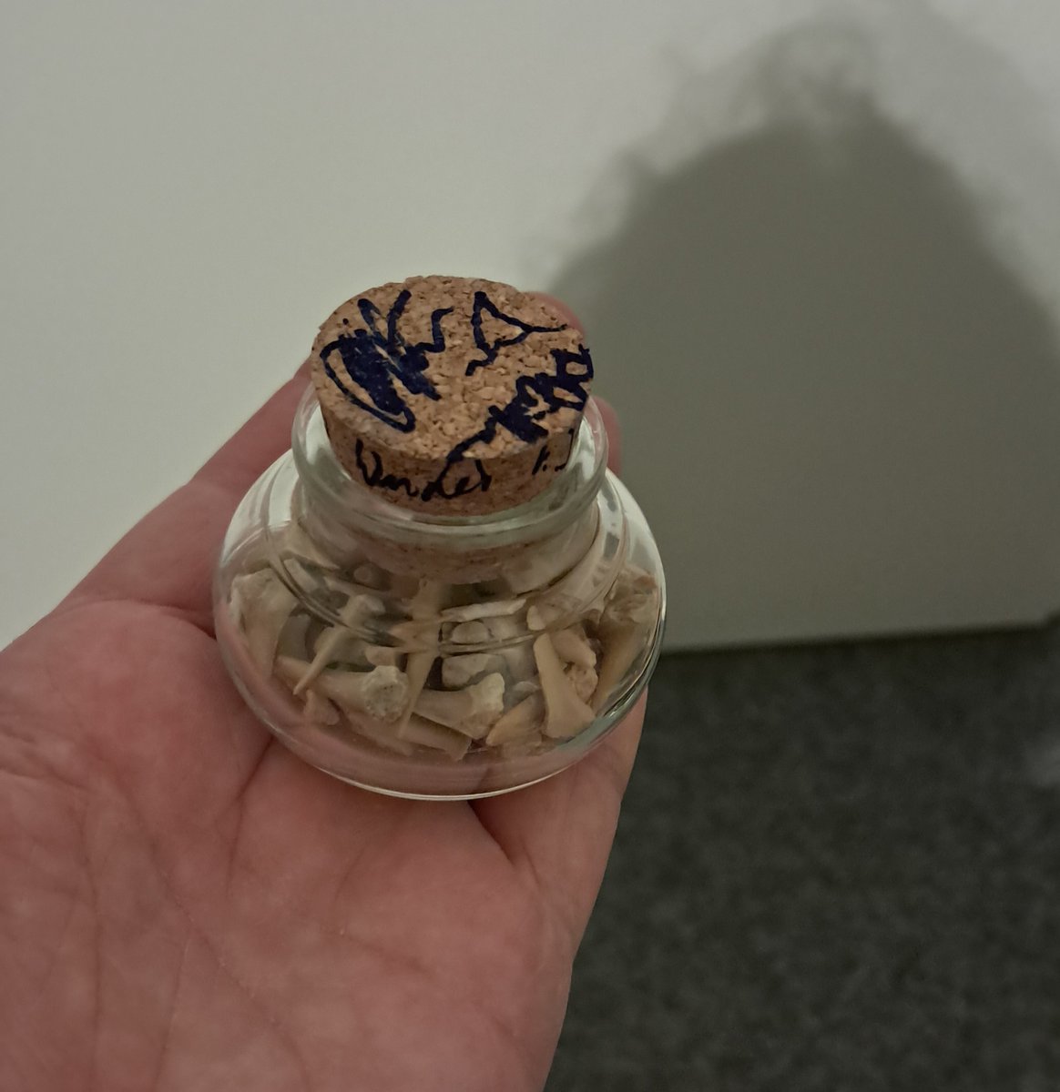 JuliaK_W's tweet photo. Olli, Päter und Dietmar Wunder haben mein Glas voller Haizähne (aus dem Naturkundemuseum) signiert. Päter und Olli haben sich auch einen Zahn ausgesucht und eingesteckt. 😉
#Schlefaz
#Dämonenhochzeit
#JohnSinclair https://t.co/pTiHhXzsxy