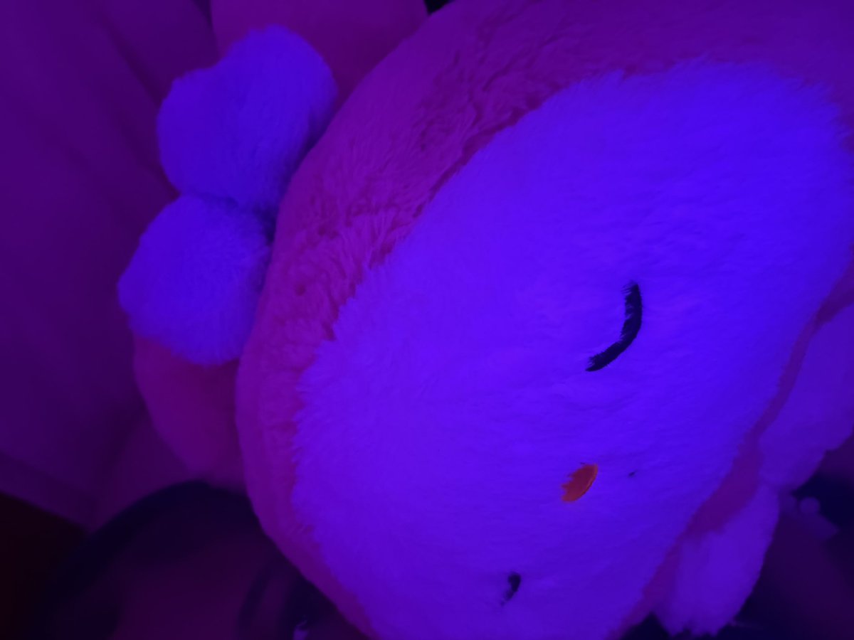 neytoven's tweet photo. https://t.co/vn8jCdhh5u