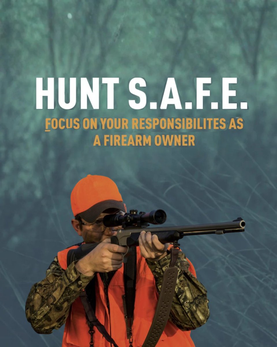 ProjChildSafe tweet picture