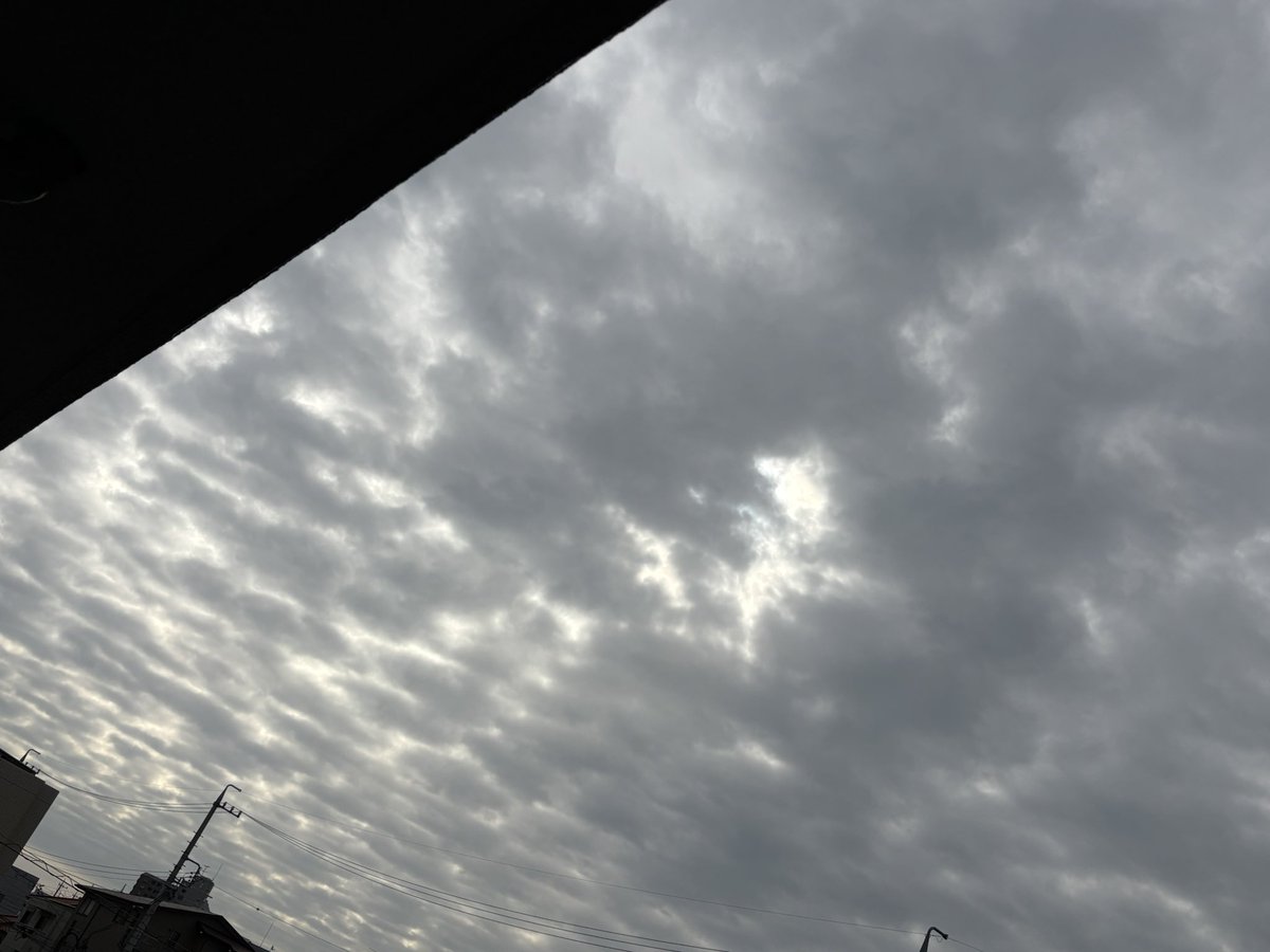 lessiecat's tweet photo. おはようございます。バンド明けでヘロヘロな朝です。早朝に目が覚めた時は空がオレンジに染まっていました。そんな朝焼けの日は天気が下り坂と言います。そして今は曇り空。ダラダラと起き出してネコメシネコウンコしました。
さて、コーヒーのんでなんか食って動き出そうかな。
良い日曜日を。 https://t.co/FQaVQEe1CT