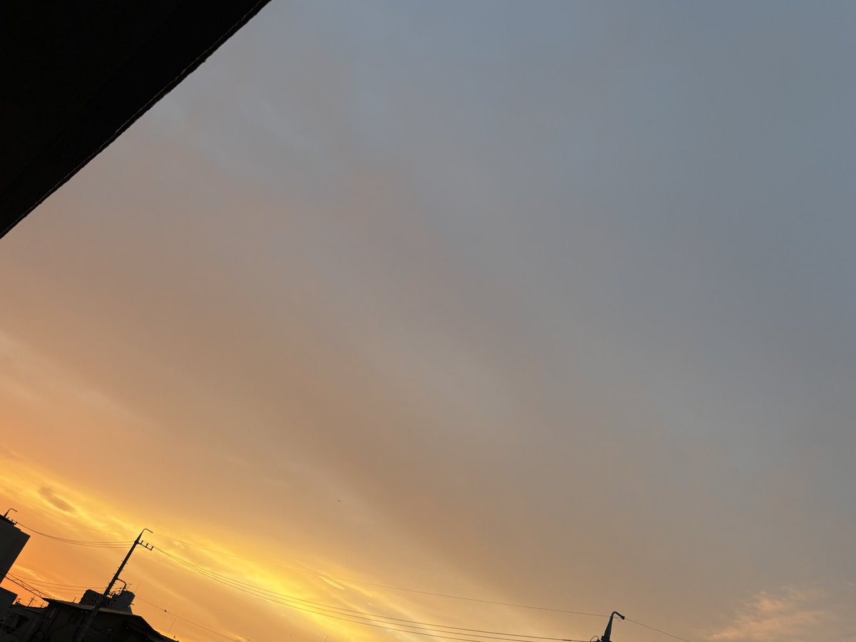 lessiecat's tweet photo. おはようございます。バンド明けでヘロヘロな朝です。早朝に目が覚めた時は空がオレンジに染まっていました。そんな朝焼けの日は天気が下り坂と言います。そして今は曇り空。ダラダラと起き出してネコメシネコウンコしました。
さて、コーヒーのんでなんか食って動き出そうかな。
良い日曜日を。 https://t.co/FQaVQEe1CT