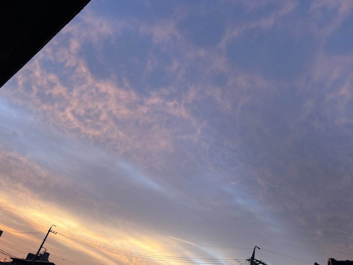 lessiecat's tweet photo. おはようございます。バンド明けでヘロヘロな朝です。早朝に目が覚めた時は空がオレンジに染まっていました。そんな朝焼けの日は天気が下り坂と言います。そして今は曇り空。ダラダラと起き出してネコメシネコウンコしました。
さて、コーヒーのんでなんか食って動き出そうかな。
良い日曜日を。 https://t.co/FQaVQEe1CT