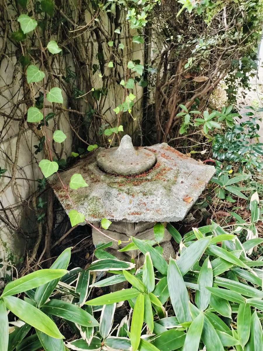 kunii_tan's tweet photo. 2週間ぶりの完全復活🤩
暫くは大雨無さそうで…
香りに癒されます
#金木犀
#2度咲き https://t.co/6BjRofEg6t